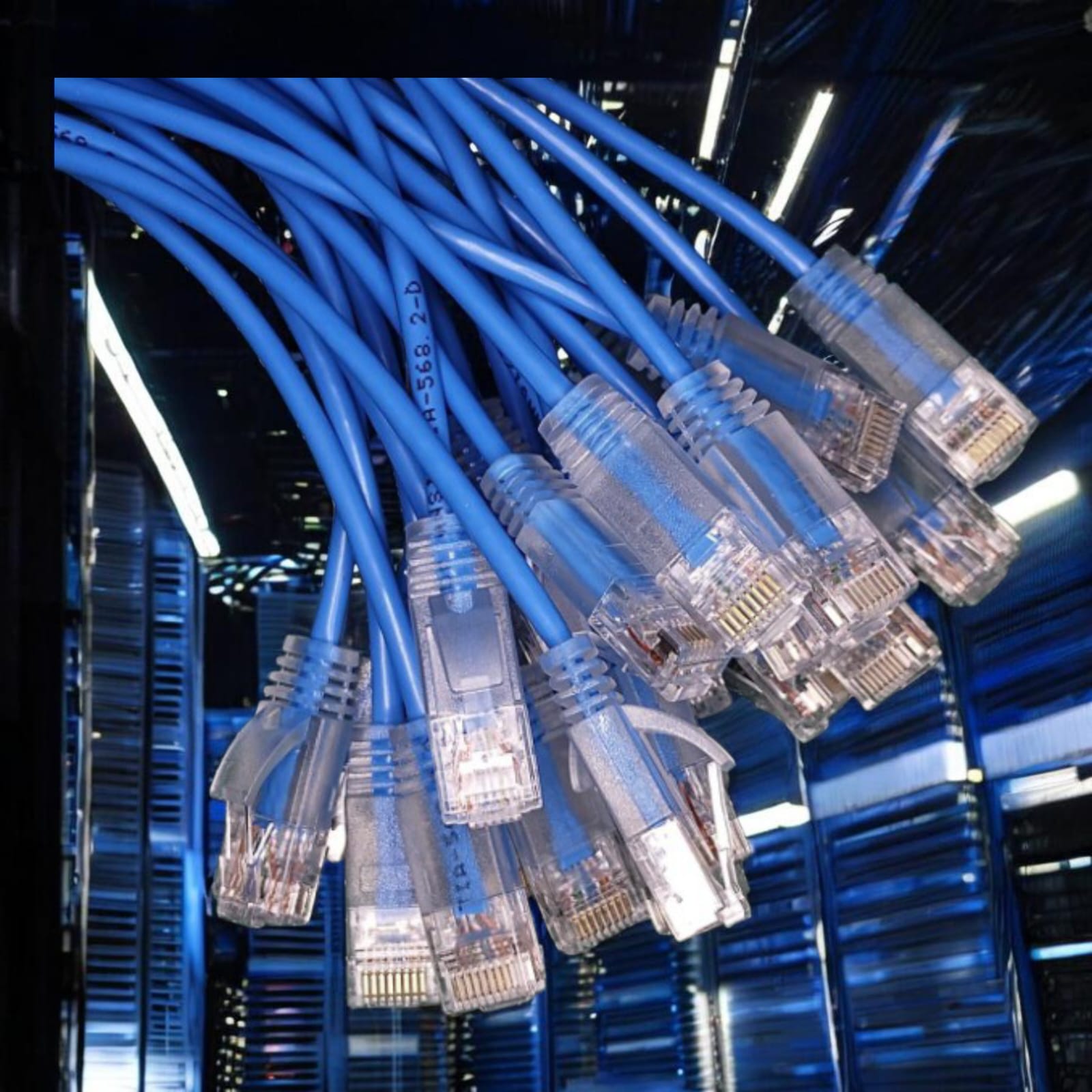 Pack 24 Cables Cat6A Delgados 30cmts 10Gbps Slim 28AWG